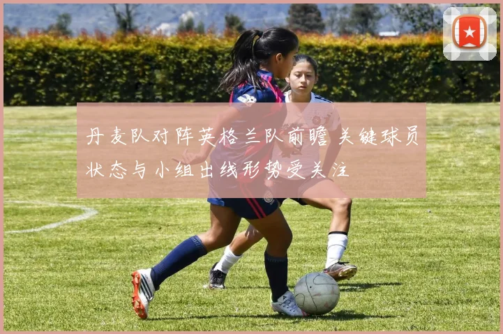 丹麦队对阵英格兰队前瞻 关键球员状态与小组出线形势受关注