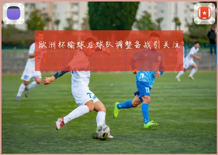 欧洲杯输球后球队调整备战引关注