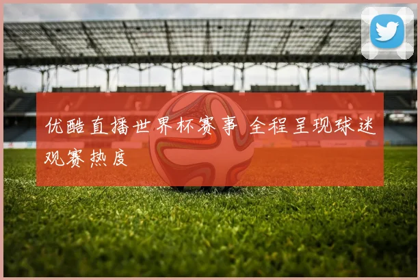 优酷直播世界杯赛事 全程呈现球迷观赛热度