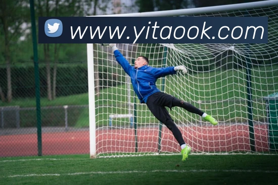 多媒体互动体验